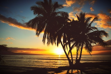 Things To Do on Maui