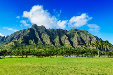 Find Elvis Locations in Hawaii