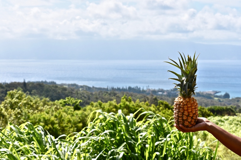 Maui