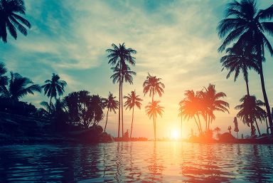 Luxury Big Island and California