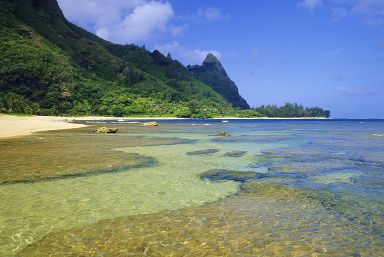 Hawaii and Los Angeles Honeymoon