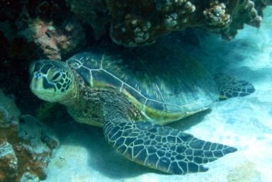 Luxury West Coast and Hawaii Island Hopping Offer