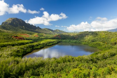 Explore More Things To Do on Kauai
