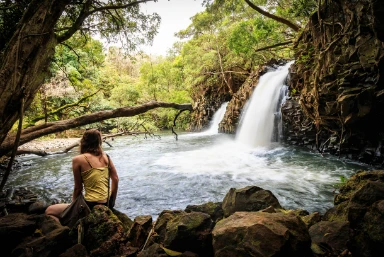 Helicopter Tour To Explore Maui Hawaii