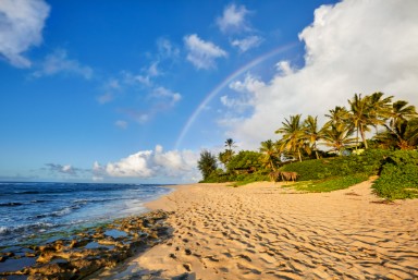 Hawaii Honeymoon Waikiki Beach Holiday
